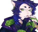  1boy animal_ear_fluff animal_ears blue_eyes blue_hair blue_jacket cat_boy cat_ears closed_mouth ear_piercing eyebrow_piercing fang fingernails gloves gradient_hair green_eyes green_gloves hand_up high_collar highres jacket jewelry licking_lips long_hair looking_at_viewer male_focus multicolored_eyes multicolored_hair notched_ear original partially_fingerless_gloves piercing purple_hair ring sharp_fingernails short_eyebrows simple_background skin_fang slit_pupils solo tongue tongue_out upper_body white_background zzb_azz 