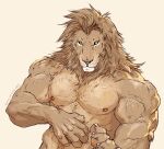  anthro felid hi_res lion male mammal muscular pantherine solo 