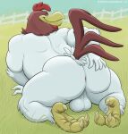  2021 3_toes 4_fingers all_fours anthro anus avian avian_carucle avian_caruncle backsack balls beak biped bird black_eyes brown_body brown_feathers butt chicken claws comb_(anatomy) detailed_background dewlap_(anatomy) digital_media_(artwork) digitigrade dudebulge feathers feet fence fingers foghorn_leghorn galliform gallus_(genus) genitals grass half-closed_eyes hand_on_butt head_crest hi_res leghorn_chicken looking_at_viewer looking_back looking_back_at_viewer looney_tunes male multicolored_body multicolored_feathers narrowed_eyes nude outside phasianid plant presenting presenting_hindquarters rear_view scutes sky smile spread_butt spreading tail_feathers toe_claws toes two_tone_body two_tone_feathers warner_brothers wattle white_body white_feathers yellow_beak 