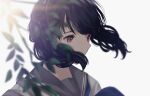  1girl bangs black_hair blurry blurry_foreground commentary_request fukumaru_koito idolmaster idolmaster_shiny_colors leaf looking_down medium_hair neckerchief purple_eyes r1t0 sailor_collar solo swept_bangs twintails upper_body white_background wind 