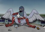  aircraft airplane airport anthro avian bird columbid destruction dragonfelixx feathers genitals hi_res improvised_sex_toy kwit macro male masturbation penis pigeon solo talons tapering_penis vehicle wings 