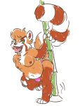  2019 ailurid anthro belly big_belly clothed clothing emanata fur green_eyes holding_object iveechan male mammal markings moobs navel neck_tuft nipples open_mouth orange_body orange_fur overweight overweight_male pole red_body red_fur red_panda rubin_dreigh skimpy solo striped_markings striped_tail stripes stripper stripper_pole tail_markings thong tongue tongue_out topless tuft underwear white_body white_fur 