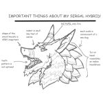  anthro diagram headshot_portrait hybrid line_art male model_sheet neondragonjay portrait sergal solo 