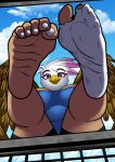  5_toes anthro avian beak bottomwear breasts brown_body brown_eyes brown_feathers claws clothing cyborg-steve dirty_socks eyebrows eyelashes feathered_wings feathers feet female foot_fetish foot_focus footwear friendship_is_magic gilda_(mlp) gryphon hasbro hi_res humanoid_feet looking_at_viewer looking_down macro my_little_pony mythological_avian mythology shirt shorts sky smile socks solo toe_claws toes topwear white_body white_feathers wings ych_result 