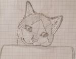  cute_eyes domestic_cat felid feline felis female feral hi_res male mammal smile solo traditional_media_(artwork) 