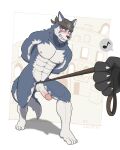  abs anthro balls bandanna bandanna_only biceps biped black_nose blue_eyes blush brown_eyebrows canid canine canis claws clenched_teeth coliseum domestic_dog ear_piercing ear_ring erection eyebrows fur genitals glans grey_body grey_fur grey_pubes grey_tail hi_res humanoid_genitalia humanoid_hands humanoid_penis husky kemo_coliseum kerchief kerchief_only kzwolf4 male mammal mostly_nude multicolored_body multicolored_fur muscular muscular_anthro muscular_male navel nipples nordic_sled_dog pecs penile penis piercing red_glans spitz teeth thick_eyebrows triceps two_tone_body two_tone_fur two_tone_tail volga white_balls white_body white_fur white_penis white_tail 