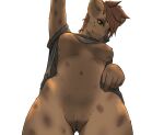  absurd_res androidz anthro bottomless breasts cackle carrioncat clothed clothing clothing_lift female flashing genitals hair hi_res hyaenid low-angle_view mammal navel nipples pussy shirt shirt_lift solo topwear under_boob 