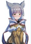  1girl absurdres animal_ears bangs blunt_bangs bodysuit breasts cat_ears cat_girl facial_mark highres latte nia_(xenoblade) short_hair silver_hair simple_background small_breasts solo white_background xenoblade_chronicles_(series) xenoblade_chronicles_2 yellow_bodysuit yellow_eyes 