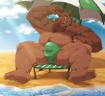  2022 absurd_res anthro beach beach_chair belly brown_body bulge clothing cloud hi_res humanoid_hands jumperbear kemono male mammal moobs nipples outside overweight overweight_male parasol sea seaside sitting solo suid suina sus_(pig) underwear water wild_boar 