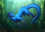 blue_body blue_horn blue_pawpads blue_scales claws dorsal_frill dragon female feral frill_(anatomy) hi_res horn kelp mythological_creature mythological_scalie mythology pawpads ripple_(rippletheness) rippletheness scales scalie solo ventral_scales yellow_claws
