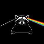  1:1 2020 absurd_res album_cover ambiguous_gender black_background black_body black_fur cover fur hi_res looking_at_viewer mammal nikraccoom procyonid raccoon rainbow simple_background solo the_dark_side_of_the_moon_(album) whiskers white_body white_fur 