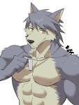  abs anthro canid canine canis dog_tags domestic_dog grin hi_res husky kouya_(morenatsu) looking_at_viewer male mammal morenatsu muscular muscular_arms muscular_male nipples nordic_sled_dog shirako shirtless smile solo spitz video_games visual_novel 
