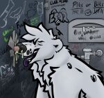 anthro armpit_hair arthropod bathroom bear black_nose bodily_fluids body_hair flies_for_smell fly_(animal) fur genitals glory_hole graffiti graffiti_on_wall hunched_over hunching insect kumatsu looking_pleasured male male/male mammal nasal_insertion nasal_penetration nose_fucking noseplay penis penis_in_nose pink_penis polar_bear public_restroom questionable_consent restroom_stall smelly snot snot_in_mouth solo tight_fit toilet ursine uwu white_body white_fur