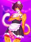  anthro bottomwear cheetah clothing dress erection felid feline female genitals girly go_to_horny_jail hi_res inside maid_apron maid_uniform male male_breasts mammal meme penis purple_background simple_background skirt solo_focus tail tillkunkun uniform 