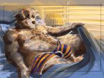  anthro bed brown_body brown_fur bulge canid canine canis clothing domestic_dog floppy_ears fur furniture hyprknetc looking_at_viewer lying male mammal nipples overweight overweight_male solo tongue tongue_out underwear undressing whiskers 