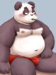  2022 anthro belly blush bulge giant_panda humanoid_hands kemono male mammal meg_hoi moobs navel nipples overweight overweight_male sitting solo ursid 