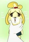 2021 4_fingers ambiguous_gender animal_crossing anthro asking asking_viewer bangs bell_hair_tie black_eyes black_nose blonde_hair bottomwear canid canine canis clothing colored cookieboy011 dialogue digital_drawing_(artwork) digital_media_(artwork) domestic_dog duo ellipsis english_description english_text face_squish facial_markings featureless_hands female female_anthro fingers first_person_view floppy_ears fur green_background green_bottomwear green_clothing green_skirt hair head_markings humanoid isabelle_(animal_crossing) looking_at_viewer lop_ears mammal markings mostly_offscreen_ambiguous mostly_offscreen_character multicolored_hair nintendo orange_ears orange_hair pink_mouth ponytail pupils question red_hair_tie shaded shih_tzu simple_background skirt squish talking_to_viewer text toy_dog two_tone_hair white_body white_markings white_pupils white_skin yellow_body yellow_fur
