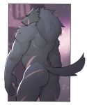  2022 anthro back_muscles blaidd_(elden_ring) butt canid canine canis elden_ring fromsoftware fur grey_body grey_fur hi_res jrjresq male mammal muscular muscular_anthro muscular_male nude scar solo video_games wolf 