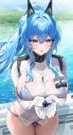  1girl absurdres animal bikini bikini_under_clothes black_horns blue_bikini blue_eyes blue_hair boat braid commentary_request cowboy_shot day fish frilled_bikini_top gloves goddess_of_victory:_nikke hair_intakes hair_over_breasts helm_(aqua_marine)_(nikke) helm_(nikke) high_ponytail highres holding holding_animal holding_fish horns jacket light_blush long_sidelocks looking_at_animal murabana44 naval_jacket on_boat open_mouth outdoors ponytail rainbow see-through_clothes see-through_jacket shoulder_boards side_braid sidelocks solo standing swimsuit swordfish water watercraft wet wet_clothes wet_hair wet_jacket white_gloves white_jacket 