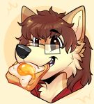 anthro biege_fur bite black_nose bread brown_eyes brown_hair canid canine canis clothing digital_drawing_(artwork) digital_media_(artwork) domestic_dog egg eyewear fluffy food food_in_mouth fur glasses hair hoodie kelta_(keltathepomeranian) long_hair male mammal pomeranian red_clothing red_hoodie red_topwear rindeadsong shiba_inu simple_background smile smirk solo spitz tan_background tan_body tan_fur toast topwear wearing_glasses