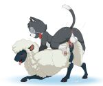 2025 6:5 anthro anthro_on_feral anus balls bestiality black_body black_fur blackjack_(pinkbutterfree) blush bovid bow_tie caprine domestic_cat duo eyewear felid feline felis female female_on_anthro female_penetrated feral fur genitals hi_res lonbluewolf male male/female male_on_feral male_penetrating male_penetrating_female male_penetrating_feral mammal monocle multicolored_body multicolored_fur narrowed_eyes open_mouth penetration penile_spines penis sex sheep teats tongue tongue_out vaginal vaginal_penetration white_body white_fur white_wool wool_(fur)