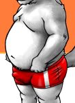  2022 anthro ao_(pixiv_145813) belly bulge canid canine canis clothed clothing domestic_dog erection erection_under_clothing genital_outline grey_body kemono male mammal moobs overweight overweight_male penis_outline solo underwear 