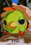  bird highres looking_at_viewer natu ookiitora128706 petting pokemon pokemon_(creature) pov pov_hands sitting 