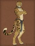  anthro bottomwear cedarwolf cheetah clothing collar crossed_arms digitigrade felid feline loincloth looking_at_viewer male mammal solo 