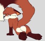  blush brown_body brown_fur butt canid canine eyewear ferrissimulator fox from_behind_(disambiguation) fur glasses hi_res looking_back male mammal paws red_body red_fur solo tagme tail white_body white_fur 