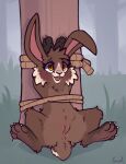 absurd_res against_natural_surface against_surface against_tree amber_eyes anus bdsm blush bondage bound brown_body cheek_tuft claws colored_sketch facial_tuft female feral feral_bondage forest forest_background genitals hands_above_head hands_tied hi_res lagomorph leporid long_ears mammal morena_(nightdancer) multicolored_body nature nature_background open_mouth plant rabbit restraints rope rope_bondage semi-anthro short_tail simple_background sketch solo spread_legs spreading tail tree tuft two_tone_body vulva whiskers white_claws yurusa
