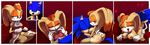  all_fours animal_ears artist_request ass bb blush breast_grab breasts furry large_breasts oral sex smile sonic sonic_the_hedgehog tail vanilla_the_rabbit 