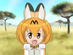  africa animal_ears blonde_hair blue_sky bow domestic_cat eyebrow_through_hair eyebrows eyelashes fangs felid feline felis female female_focus fluffy forest grass hair hair_between_eyes hill humanoid kemono_friends looking_at_viewer mammal mox_jp nature open_mouth outside plant savanna serval-chan sky solo solo_focus teeth translucent translucent_hair tree yellow_eyes 