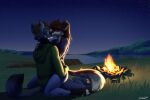  2022 anthro canid canine canis clothed clothing detailed_background digital_media_(artwork) domestic_dog duo fire grass male mammal night outside plant sinalanf sky smile star starry_sky 
