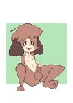  animal_crossing anthro balls canid canine canis cris_art digby_(animal_crossing) digital_media_(artwork) domestic_dog erection feet fur genitals hair hi_res male mammal nintendo nude penis presenting presenting_penis shih_tzu simple_background smile solo spread_legs spreading toy_dog video_games 