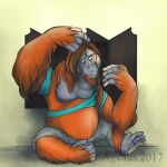  2017 ageaus ape bottomwear clothing fur haplorhine human male mammal orangutan pants primate simple_background solo species_transformation surprise torn_clothing transformation 