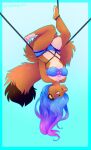  anthro bdsm bondage bound bra clothing cougar domestic_cat felid feline felis fluffy furry hi_res highlights_(coloring) mammal pantherine panties paws restraints rope rope_bondage rope_harness shibeari skycoffee tail underwear upside_down 