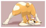  2021 anthro ass_up big_butt breasts butt canid canine canis cinnamon_(yoko_darkpaw) claws clenched_teeth crossed_arms domestic_dog ear_piercing ear_ring eyelashes eyeshadow fangs female fur hair half-closed_eyes heart_(marking) herding_dog hi_res jack-o&#039;_pose looking_at_viewer makeup mammal narrowed_eyes neck_tuft nude pastoral_dog paws piercing pose short_tail smile solo spread_legs spreading teeth tuft welsh_corgi wide_hips yoko_darkpaw 