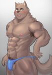 2022 5_fingers abs anthro areola armpit_hair balls biped black_nose blue_clothing blue_thong blue_underwear blush blush_lines bodily_fluids body_hair brown_eyebrows brown_pubes bulge canid canine cheek_tuft clothed clothed_anthro clothed_male clothing clothing_pull detailed_bulge digital_media_(artwork) eyebrows facial_tuft fingers fur genital_outline genitals glistening glistening_eyes grey_background hi_res male male_anthro mammal muscular muscular_anthro muscular_male navel nipples norakemo777 open_mouth orange_balls orange_body orange_fur orange_tail pecs penis_outline pink_areola pink_nipples pointy_ears pubes simple_background solo sweat tail thong thong_only thong_pull topless topless_anthro topless_male tuft underwear underwear_only underwear_pull yellow_eyes