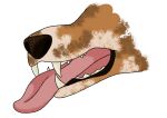  absurd_res ambiguous_gender canid canine canis disembodied disembodied_head hi_res mammal open_mouth solo teeth_showing teeth_visible tongue tongue_out wolf 