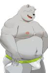  2022 anthro belly black_nose bulge clothing hi_res humanoid_hands jockstrap kemono male mammal moobs navel nipples overweight overweight_male simple_background solo sv_grart underwear ursid 