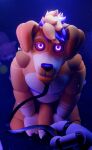  3d_(artwork) absurd_res alaric_(alaricdoggo) alaricdoggo animatronic anthro ball bird_dog blender_(artwork) blender_(copyright) blender_cycles_(artwork) blonde_hair box canid canine canis collar container digital_media_(artwork) domestic_dog genitals golden_retriever hair hand_holding_object hi_res holding_leash holding_object hunting_dog kneeling leash leashed_collar leashed_male looking_at_viewer machine male mammal markings mastectomy_scar penis plushie pov_hands purple_eyes purple_hair retriever robot scar solo stitch_(sewing) striped_markings stripes tennis_ball trans_(lore) trans_man_(lore) white_hand ych_(character) yellow_body 