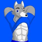  abs anthro blue_eyes canid canine canis clothed clothing clothing_lift exhibitionism fur grey_body grey_fur hand_behind_head hi_res male mammal muscular muscular_anthro muscular_male one_eye_closed seductive sharp_teeth shirt shirt_lift silver_wolf smile solo teeth topwear wendel/lednew wolf 