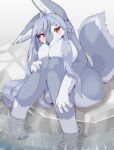  2022 4_fingers 4_toes anthro big_breasts black_nose blush breasts canid canine canis claws digitigrade feet female finger_claws fingers fluffy fur gloves_(marking) grey_body grey_fur grey_hair hair hi_res kemono leg_markings long_hair looking_at_viewer mammal markings multicolored_body multicolored_fur multicolored_tail nude orange_eyes partially_submerged paws shitsu_kushi-mono sitting socks_(marking) solo toe_claws toes two_tone_body two_tone_fur two_tone_tail water white_body white_fur wolf 