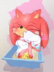  bodily_fluids echidna genital_fluids knuckles_the_echidna male mammal monotreme onechan peeing petplay roleplay sega solo sonic_the_hedgehog_(series) urine urine_pool urine_stream watersports 