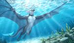  anthro aquatic cetacean claws collar dolphin dragon european_mythology featureless_crotch fridaflame hi_res hybrid looking_aside male mammal mythological_creature mythological_scalie mythology nude open_mouth open_smile scalie smile solo toothed_whale underwater water western_dragon winged_arms wings wyvern 