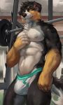  2022 3:5 anthro bernese_mountain_dog bulge canid canine canis chest_tuft clothing domestic_dog fur gym hi_res inside jockstrap jockstrap_only juiceps looking_at_viewer male mammal molosser mountain_dog multicolored_body multicolored_fur muscular muscular_anthro nipples solo standing swiss_mountain_dog tarnb tuft underwear weights 