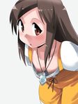  1girl breasts brown_eyes brown_hair catsuit down_blouse downblouse female final_fantasy final_fantasy_ix flat_chest garnet_til_alexandros_xvii jewelry long_hair nipples pendant small_breasts solo toku_sonchou tokusoncho 