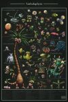 abomasnow alolan_exeggutor amoonguss arboliva bellossom bellsprout bounsweet brambleghast bramblin breloom budew cacnea cacturne capsakid carnivine character_name cherrim cherrim_(sunshine) cherubi commentary cottonee cradily dhelmise dolliv eldegoss english_commentary exeggcute exeggutor ferroseed ferrothorn fomantis foongus gloom_(pokemon) gossifleur gourgeist grass_type_theme_(pokemon) green_background highres hisuian_electrode hisuian_lilligant hisuian_voltorb hoppip jumpluff lileep lilligant lurantis maractus merchandise_available morelull numbered nuzleaf oddish petilil phantump pokemon pokemon_(creature) pokemon_focus poster_(medium) pumpkaboo roselia_(pokemon) roserade scovillain seedot shiftry shiinotic shroomish simple_background skiploom smoliv snover steenee sunflora sunkern swainathan tangela tangrowth toedscool toedscruel trevenant tsareena victreebel vileplume weepinbell whimsicott 