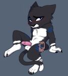 anthro balls blue_eyes blue_markings blush bodily_fluids claws cum dipstick_tail domestic_cat embarrassed felid feline felis genital_fluids genitals half-erect hi_res humanoid_genitalia humanoid_penis looking_at_viewer male mammal markings nat_(nat_boi) penis precum scar scarlet-hex solo tail tail_markings tuxedo_cat