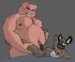  aggressive_retsuko anal anthro body_hair director_ton domestic_pig duo fangs haida hands_on_legs hands_on_thighs hi_res hyaenid male male/male male_penetrated male_penetrating male_penetrating_male mammal marvofun overweight overweight_anthro overweight_male pecs penetration sanrio spots suid suina sus_(pig) 